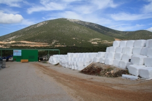 Επίσκεψη Κοδέλα στο δεματοποιητή στην Ερμιονίδα