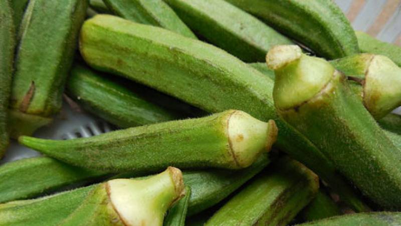 Η Γιορτή Μπάμιας σήμερα στους Αρμενιούς