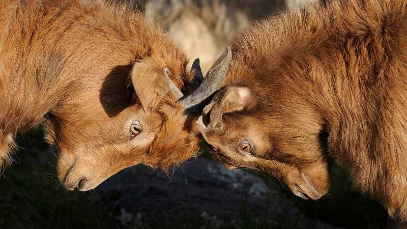 Επικοινωνιακό παραπέτασμα πρωτοποριακής κενολογίας