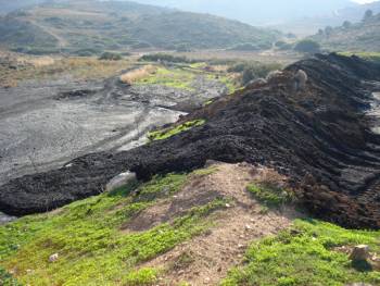 Οικολογική Κίνηση Καλαμάτας: Μία αναδρομή στην ιστορία της ρύπανσης των ελαιοτριβείων στο Νομό Μεσσηνίας