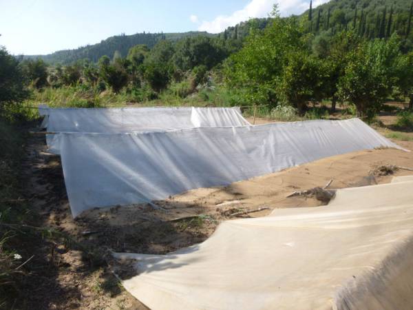 Προτάσεις Σαμπαζιώτη για αποζημιώσεις αγροτών