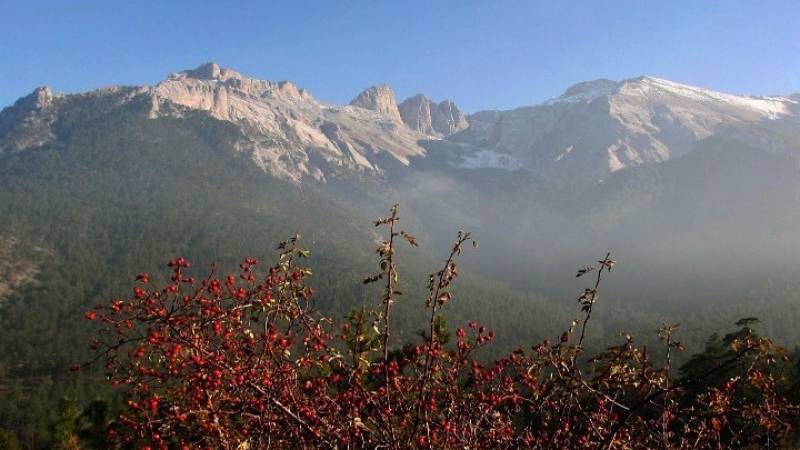 Εντοπίστηκε σώος ο ορειβάτης που είχε εγκλωβιστεί στον Όλυμπο (βίντεο)