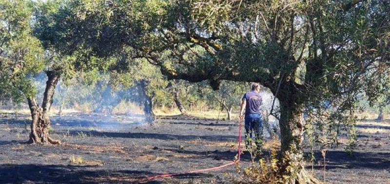 Δύο φωτιές χθες στην Τριφυλία