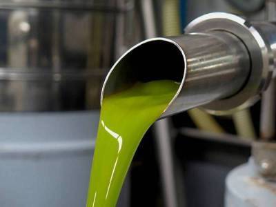 Η μικρότερη παραγωγή των τελευταίων ετών: Μόνο 18.000 τόνοι ελαιόλαδο στην Τριφυλία