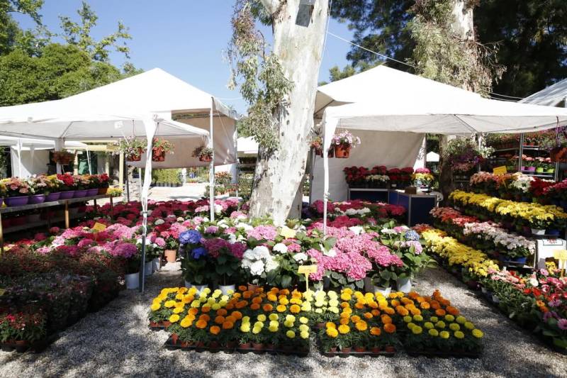 Aνοίγει τις πύλες της η 70η Ανθοκομική Έκθεση Κηφισιάς (βίντεο)