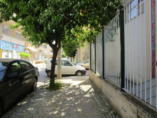 Ανθισμένες νεραντζιές