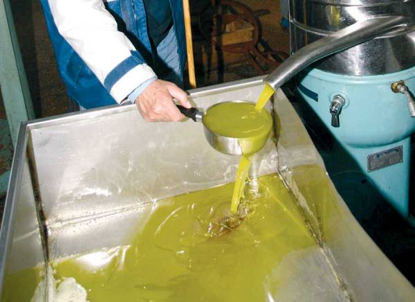 Διαγωνισμός μεσσηνιακού ελαιολάδου ποιότητας στην Κορώνη