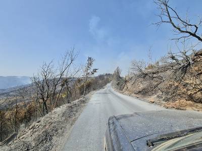 Περιοδεία κλιμακίων του ΚΚΕ στις πυρόπληκτες περιοχές της Γορτυνίας