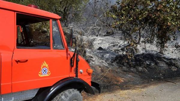 Πάνω από 650.000 στρέμματα οι καμένες εκτάσεις σε Εύβοια, Αττική και Λακωνία έως το μεσημέρι της Κυριακής