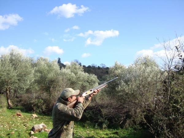 Οι Οικολόγοι Πράσινοι Πελοποννήσου για την απαγόρευση κυνηγιού