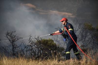 Υπό έλεγχο η φωτιά στην Αμφίπολη Σερρών