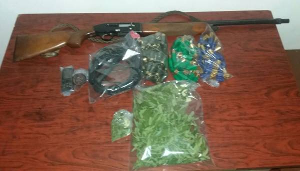 Σύλληψη 47χρονου με 7 χασισόδεντρα στο Πεταλίδι