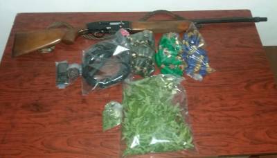 Σύλληψη 47χρονου με 7 χασισόδεντρα στο Πεταλίδι