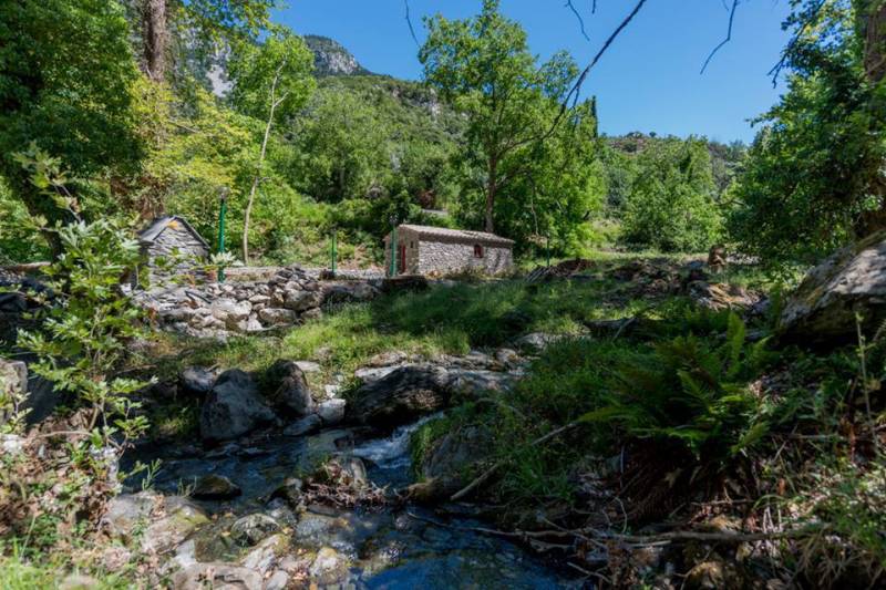 Τιμούν τη μνήμη του Αγίου Παϊσίου στη Νέδουσα
