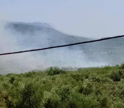 Μεσσηνία: Σε εξέλιξη πυρκαγιά στην Ασπροπουλία (βίντεο)