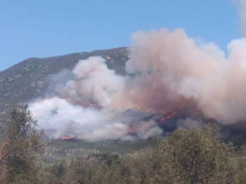 Αιτήσεις για αποζημιώσεις από τις πυρκαγιές στη Μεσσηνία