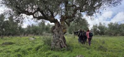 Φωτογραφική Ομάδα Καλαμάτας: Εξόρμηση στο μονοπάτι που συνδέει το Νεοχώρι με το Μίλα