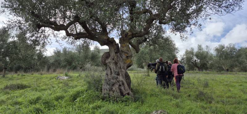 Φωτογραφική Ομάδα Καλαμάτας: Εξόρμηση στο μονοπάτι που συνδέει το Νεοχώρι με το Μίλα