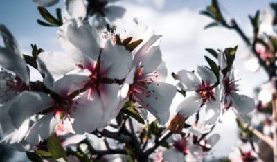 Αλλαγή στο σκηνικό του καιρού - Τσατραφύλλιας: Ο πολικός αεροχείμαρρος φέρνει προχωρημένο φθινόπωρο