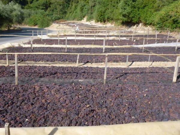 Ενωση Μεσσηνίας: 90 λεπτά η μακιναρισμένη σταφίδα, 84 λεπτά η αμακινάριστη