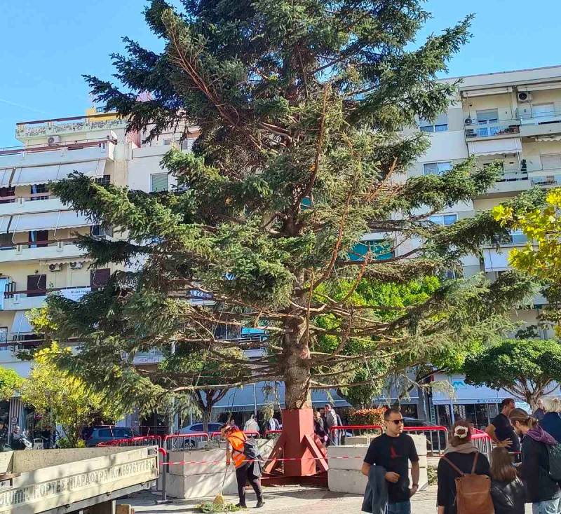 Αξιοποίηση του δέντρου