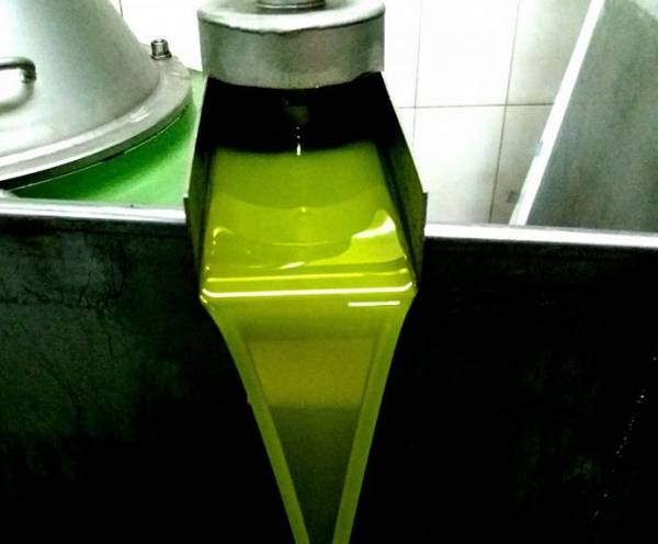 Διακρατική συνάντηση για την ανταγωνιστικότητα του ελαιολάδου