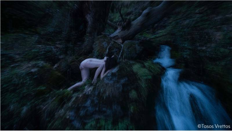 31ο Διεθνές Φεστιβάλ Χορού Καλαμάτας: Σήμερα "Ο γρίφος του δάσους