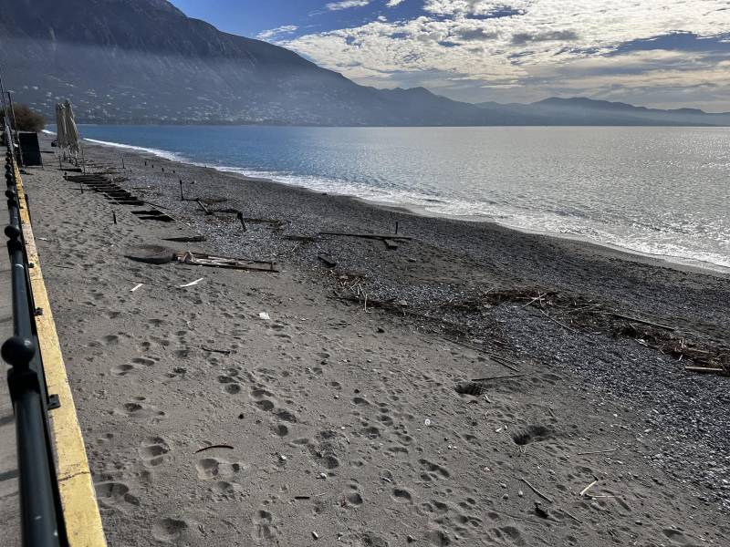 Σπασµένα ξύλα στην παραλία από την κακοκαιρία...