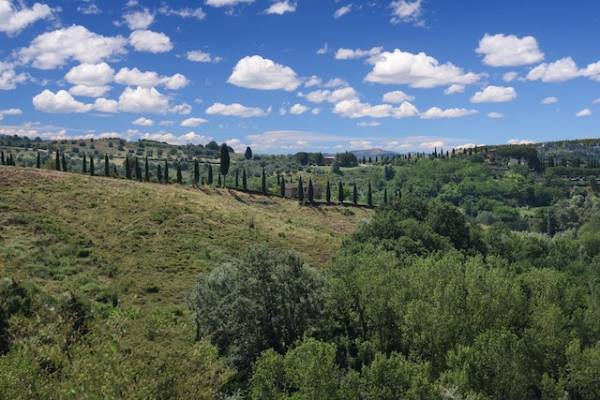 Το μοντέλο της επόμενης ημέρας