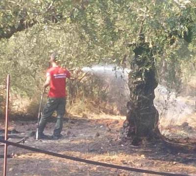 Ενάμιση στρέμμα γεωργικής έκτασης έκαψε φωτιά στα Αγριώματα Βέργας