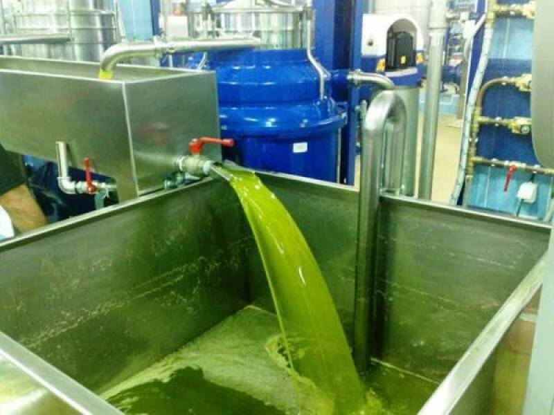 Επιδότηση ηλεκτρικού ρεύματος σε ελαιοτριβεία ζητεί το Δημοτικό Συμβούλιο Τριφυλίας