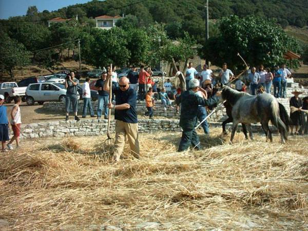 Πολιτιστικές εκδηλώσεις του Δήμου Τριφυλίας